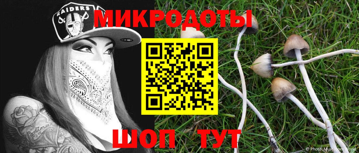 Псилоцибиновые грибы прущие грибы  Вход с VPN  Елабуга 